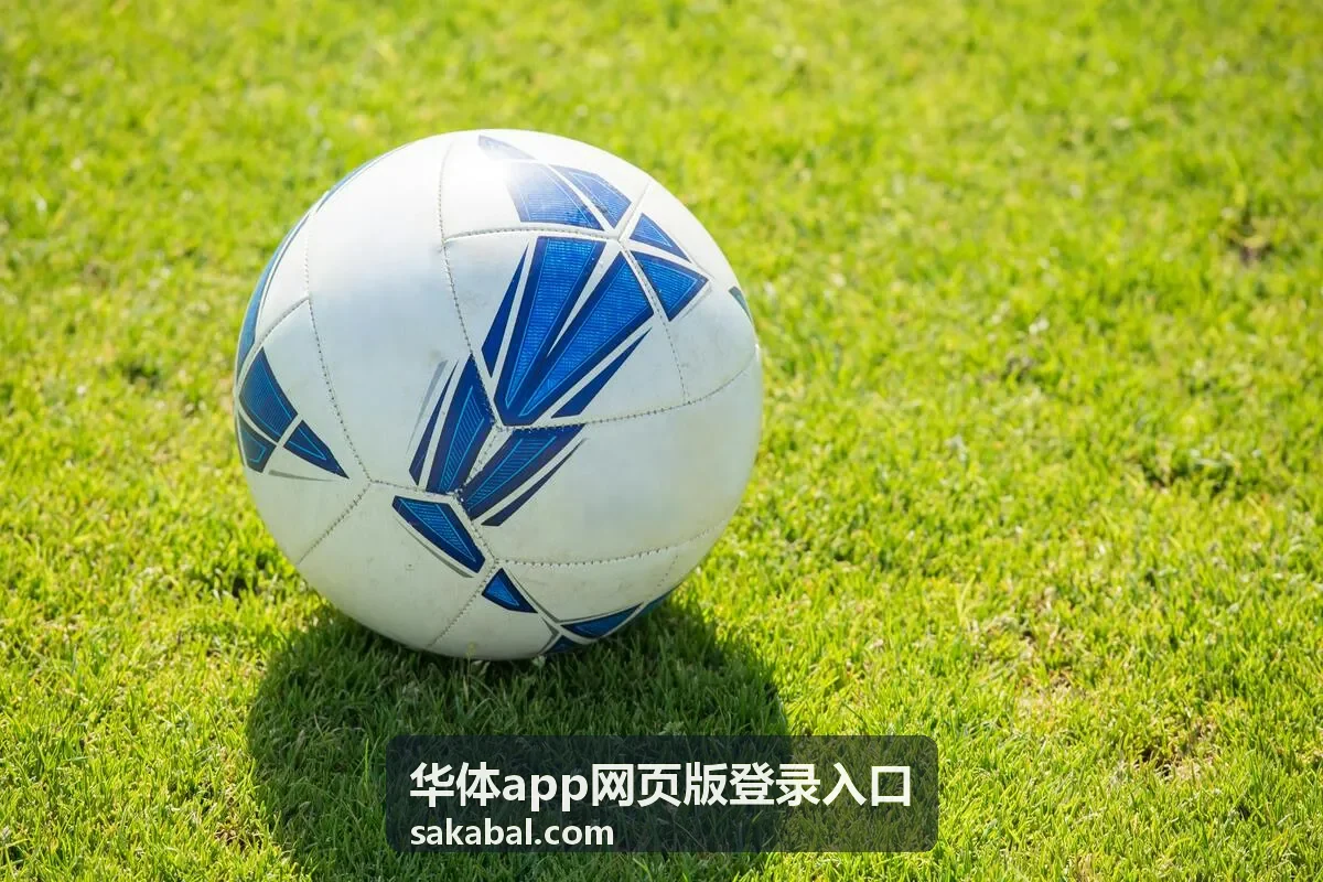 华体app网页版登录入口账号安全与隐私要点示意